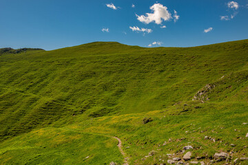 mountain path