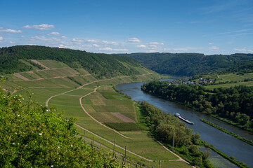 With the bike on the cycle path through the countryside along the river Moselle in...