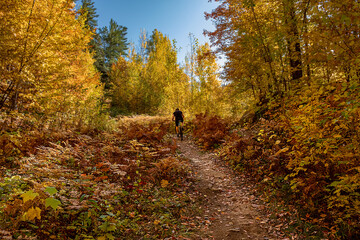Autumn cycling in Quebec