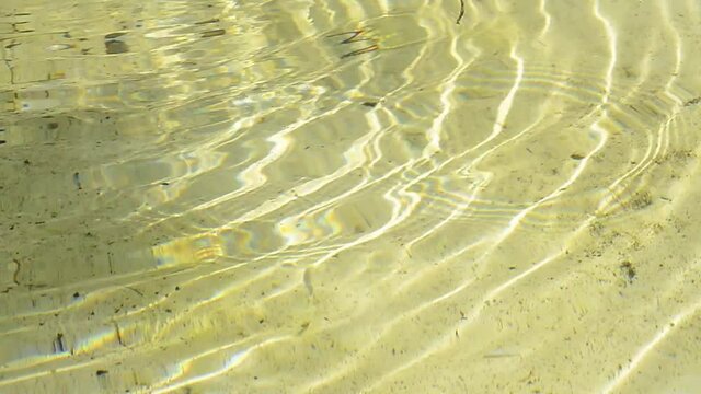 agua reflejo estanque