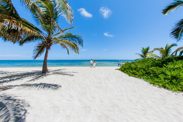 Newlyweds holding hands hugging at white sandy tropical caribbean beach landscape after wedding ceremony of marriage on destination wedding honeymoon travel looking on blue sea in Punta Cana Dominican