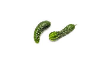 Crooked cucumber. Diseases of vegetables. Cucumber, grown with a shortage of watering. Isolated on...