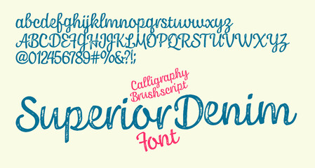 Original vintage Denim print for t-shirt or apparel. Old school vector graphic for fashion and printing. Hand drawn  calligraphy display typeface. 