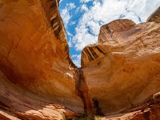 Beautiful landscape around the Hickman Bridge Trail of Capitol Reef National Park