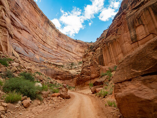 Beautiful landsacpe along the Capitol Gorge Road of Capitol Reef National Park