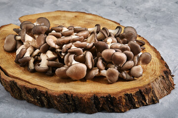 Fresh oyster mushrooms on a wooden background, copy space, wooden board.