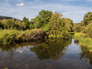 RIO