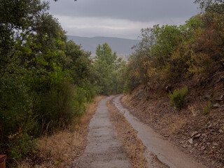 CAMINO