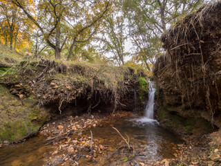 ARROYO