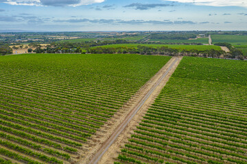 Aerial view of vineyards at McLaren Vale in Australia
