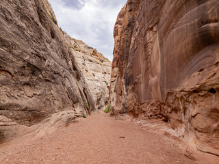 Beautiful landsacpe along the Pioneer Register of Capitol Reef National Park