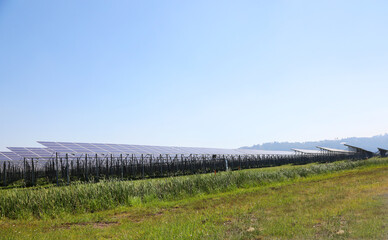 Fototapeta na wymiar A large solar farm in Queensland, Australia