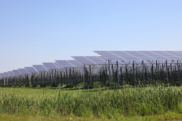 A large solar farm in Queensland, Australia