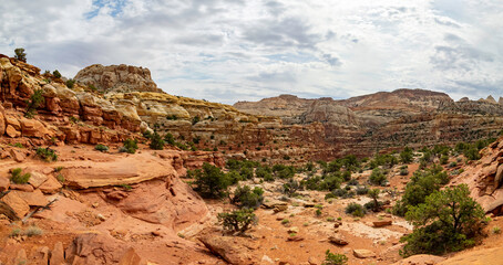 Fototapeta premium Beautiful landscape along the Cassidy Arch Trail of Capitol Reef National Park