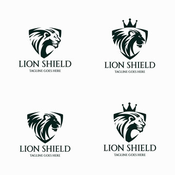 Lion shield logo design template. Lion king logo. Vector illustration