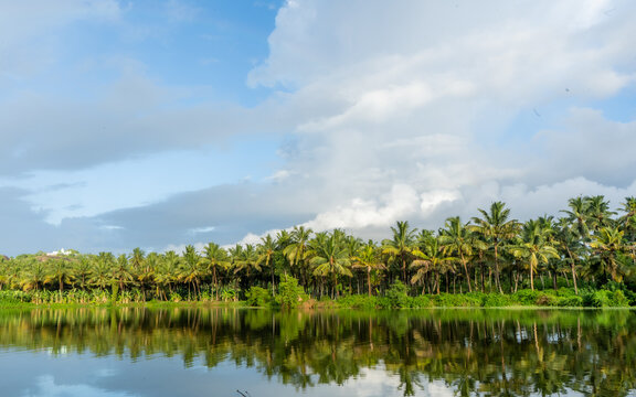 Rainbow
Rain
Green
Kanyakumari
Nagercoil
Tamilnadu
India
Lake
Coconut Tree
Nature