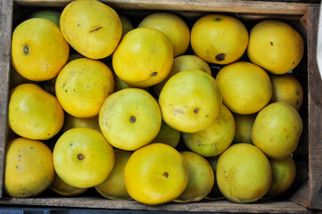 yellow grapefruits on the market