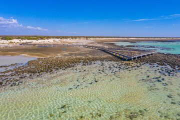 Wooden boardwalk at Hamelin pool used for view at stromatolites, Australia