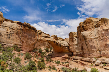 Fototapeta premium Sunny view of the Hickman Bridge of Capitol Reef National Park