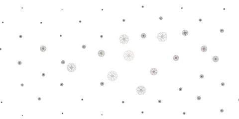 Light Gray vector natural layout with flowers.
