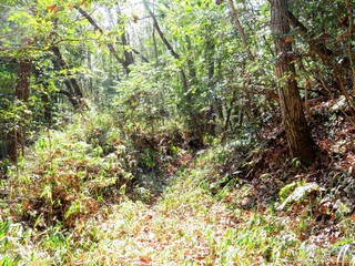 日本の田舎の風景　1月　真冬の田舎道