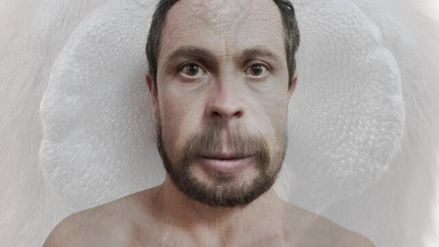 Evolution example - face transformation of the man into monkey. Face of the adult young man with beard smoothly transforms into the face of the orangutan