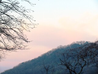 日本の田舎の風景　1月　真冬の朝日と山の木々　朝焼け