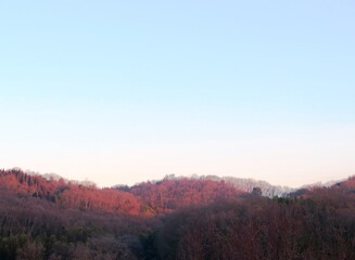 日本の田舎の風景　1月　真冬の朝日と山の木々　朝焼け