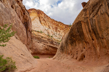 Fototapeta premium Beautiful landsacpe along the Pioneer Register of Capitol Reef National Park