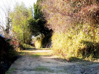 日本の田舎の風景　1月　冬の田舎道