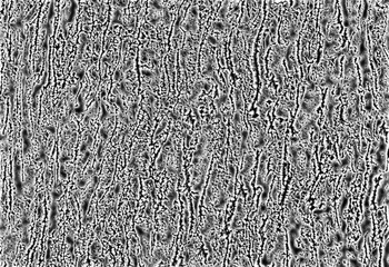 Tree Bark Texture Base Material [Height]
This mage texture is a set of metrics calculated in image processing designed to quantify the perceived texture of an image. Image texture gives us information