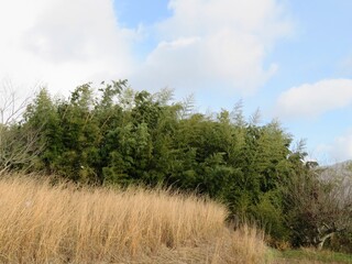 日本の田舎の風景　1月　雪の舞う日　青空