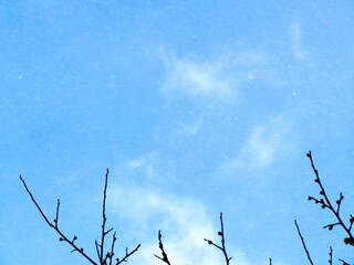 日本の田舎の風景　1月　雪の舞う日　青空