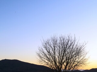 日本の田舎の風景　1月　裸木と夕焼
