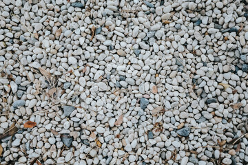 A stone on the ground