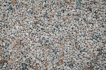 A stone on the ground