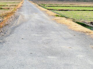 日本の田舎の風景　1月　冬の田舎道