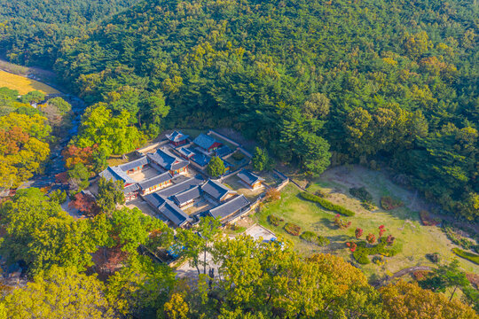 Aerial view of Oksan Seowon Confucian academy in Republic of Korea