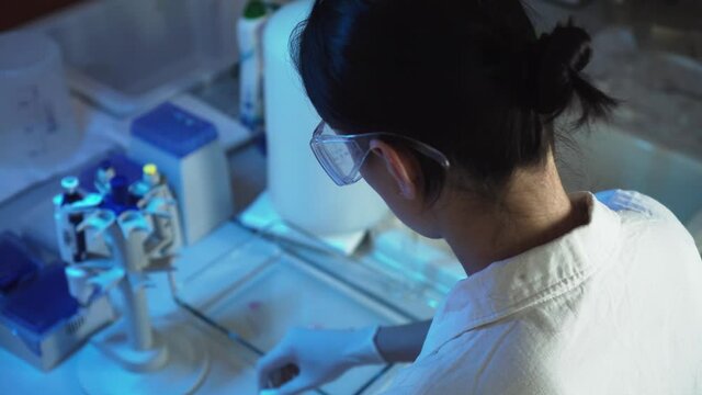 Food quality control in laboratory, female pouring green BIO powder into petri dish, closeup view