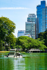 Bangkok, Thailand - famous green Lumpini park in , skyscrapers on the background of a picturesque pond, early morning, summer day, no people, travel wallpaper 