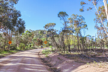 mountain bikers on uphill dirt road