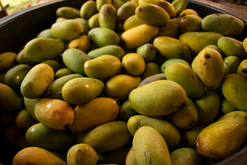 close up of a pile of mango