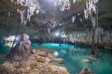 Beautiful view of Cenote Sac Actún - Akumal, near Tulum city located in Yucatán Peninsula - Mexico