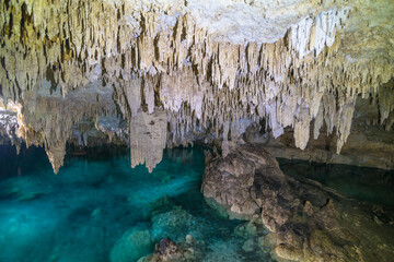 Beautiful view of Cenote Sac Actún - Akumal, near Tulum city located in Yucatán Peninsula - Mexico