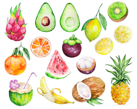 watercolor exotic bright tropical fruit