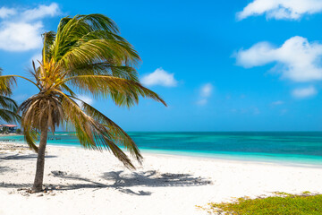 A beautiful day on the paradise beach in Dos Mosquises Island - Caribbean - Archipelago of Los Roques - Venezuela