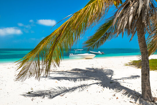 A beautiful day on the paradise beach in Dos Mosquises Island - Caribbean - Archipelago of Los Roques - Venezuela