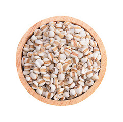 Millet isolated on white background