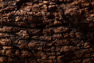Wood 95