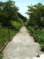 ハイキングの道（下り階段）